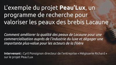 Exemple du projet Peau’Lux - Conférences “PME, PMI, Comment innover ?” - Salon On’Innov 2017